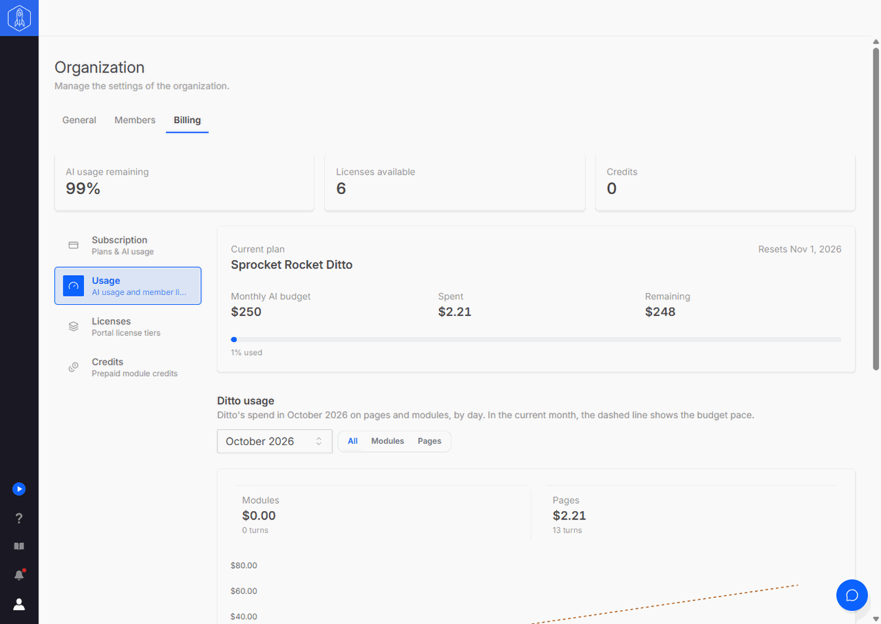 Usage tab with the AI budget and AI usage split into pages and modules